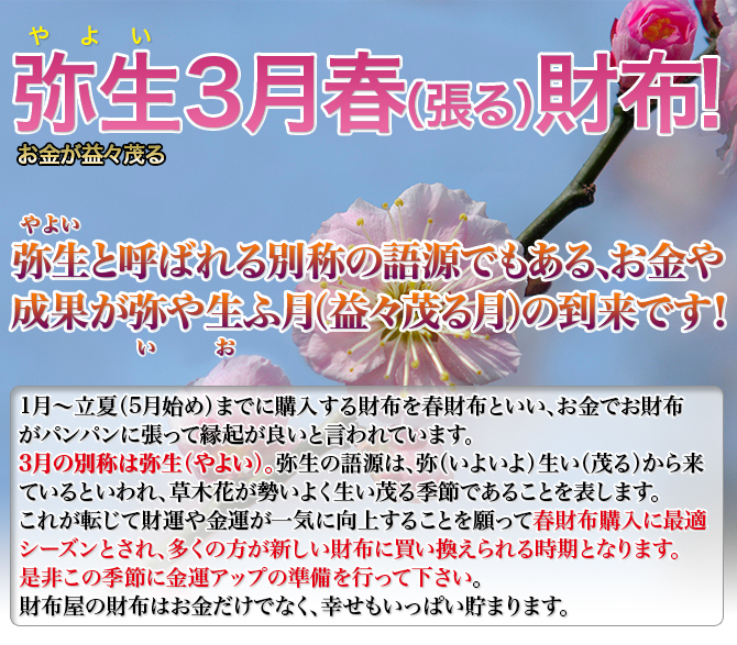 財布屋.jpg